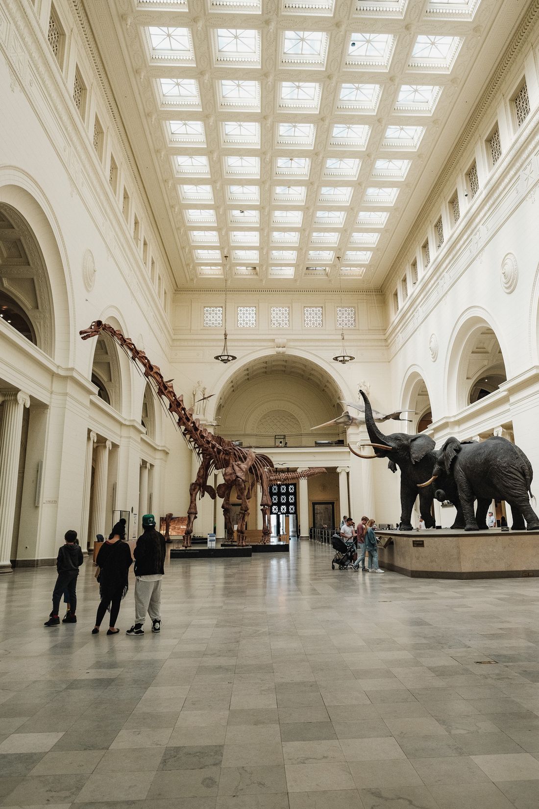 Visitors inside a Chicago museum hall with natural-history exhibits.